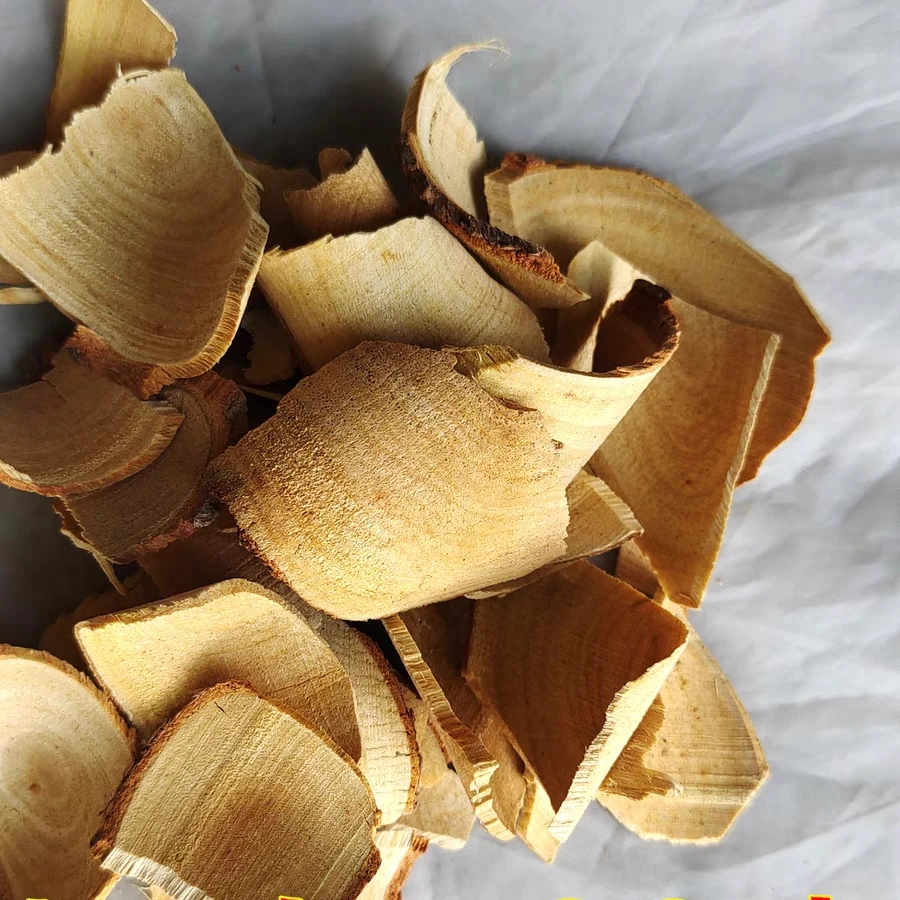 高山药材樟树根香樟根切片新鲜香樟枝片当年新晒500g包邮