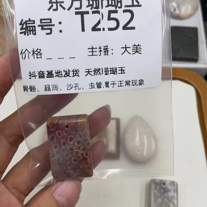 硅化珊瑚(珊瑚玉)颈饰合金?****?