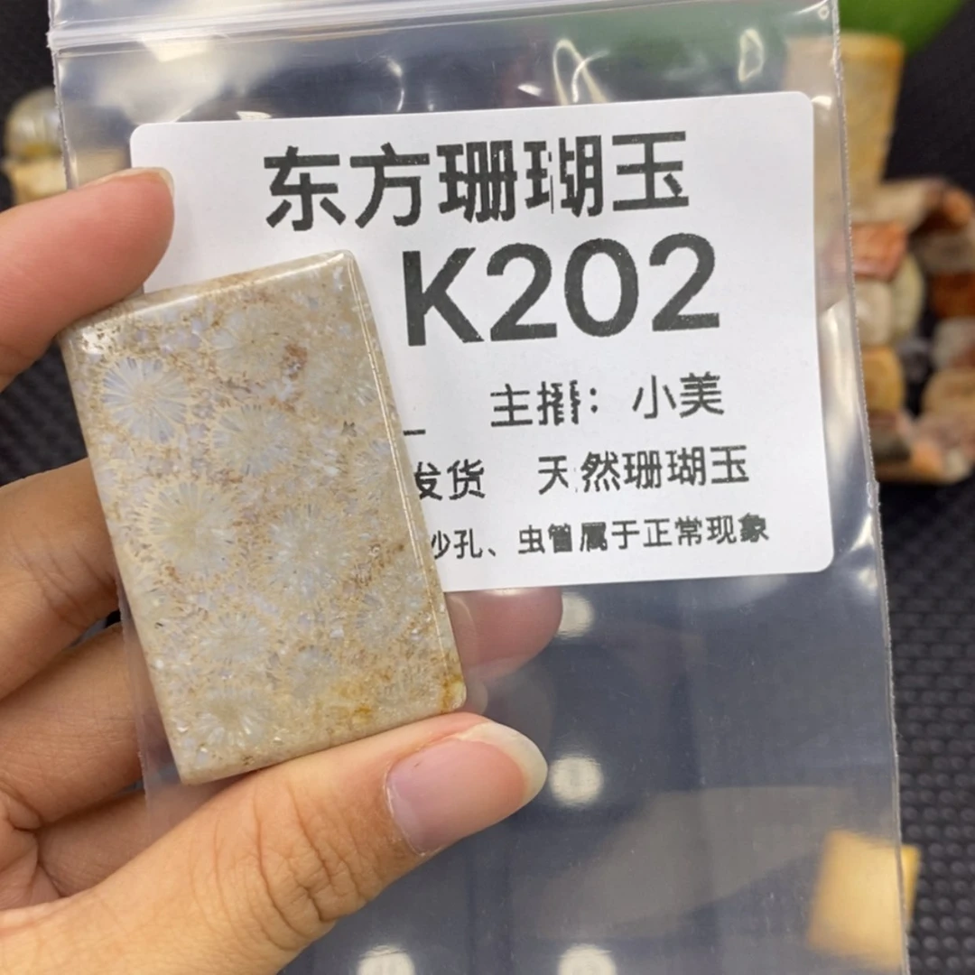 【闪购商品】硅化珊瑚(珊瑚玉)颈饰未镶嵌ᐝ**