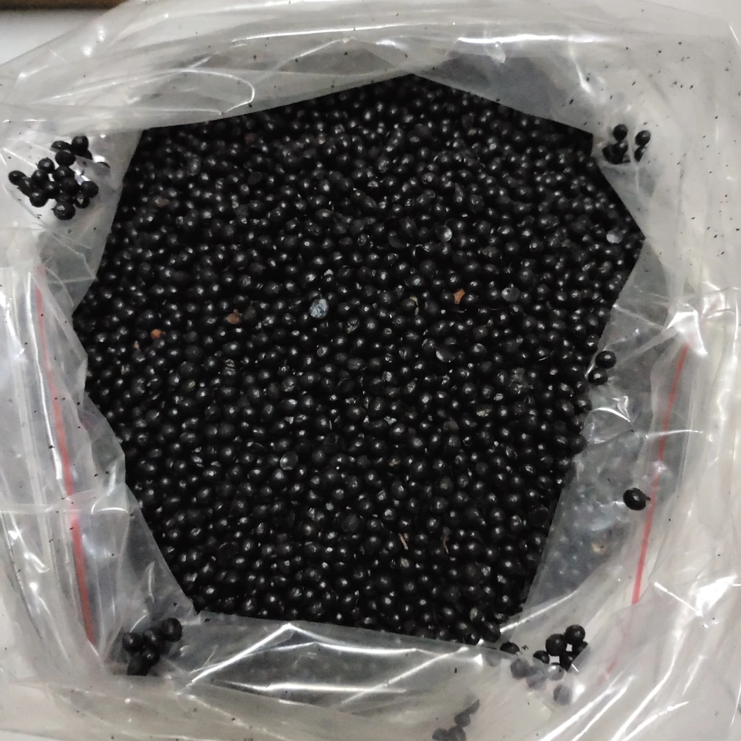 鸽子食用花椒籽!一包5斤装