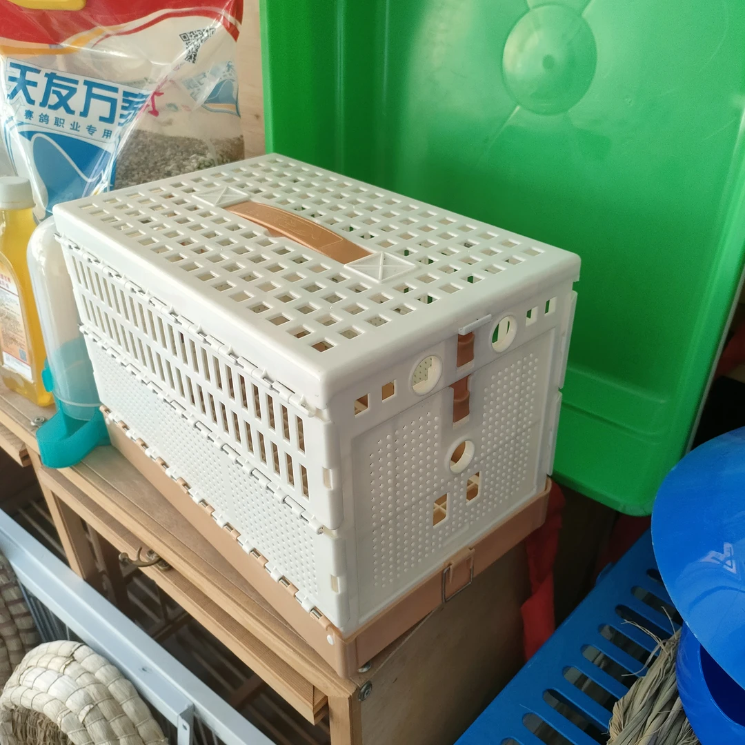 塑料折叠报道笼手提笼