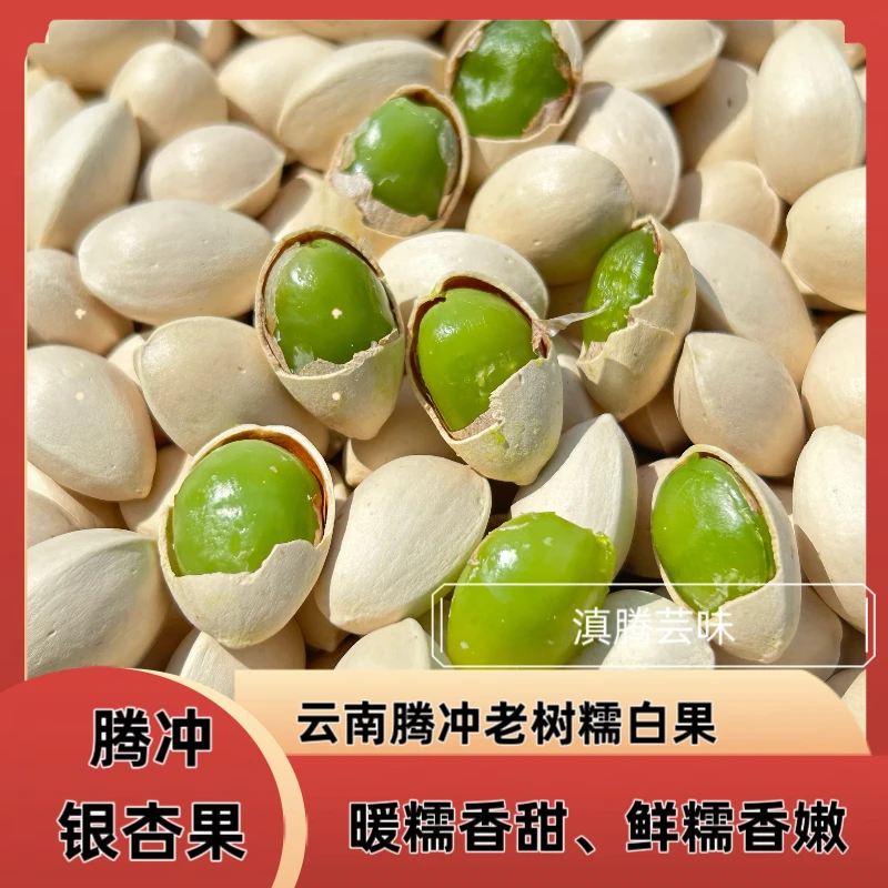 云南腾冲老树白果银杏果糯银杏.糯白果.老品种绿心白果炒熟去壳吃