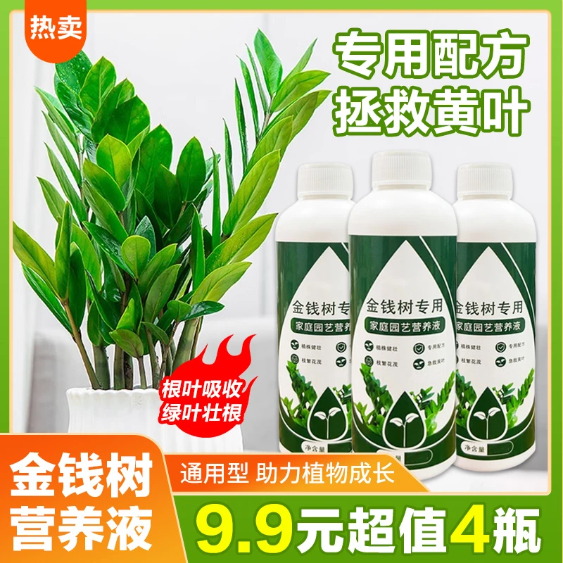 【抢!9.9元4瓶】金钱树专用营养液土培花草营养液专业配方生长吸收