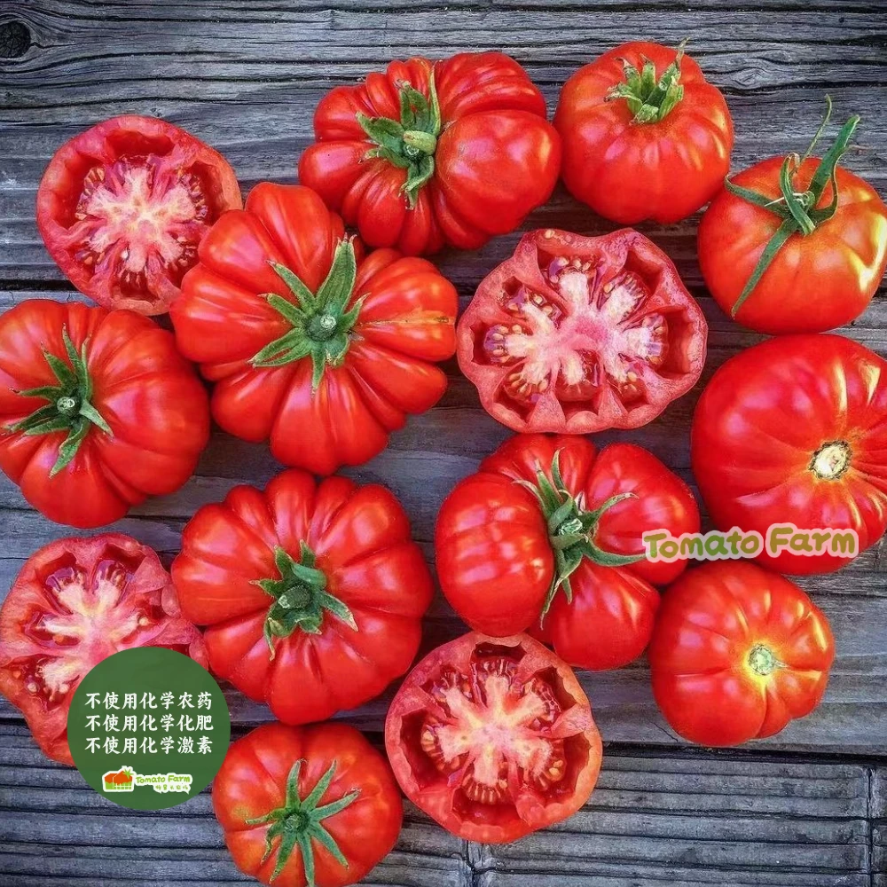 【限量 现摘现发】帕尔马番茄马蹄非转基西红柿番茄