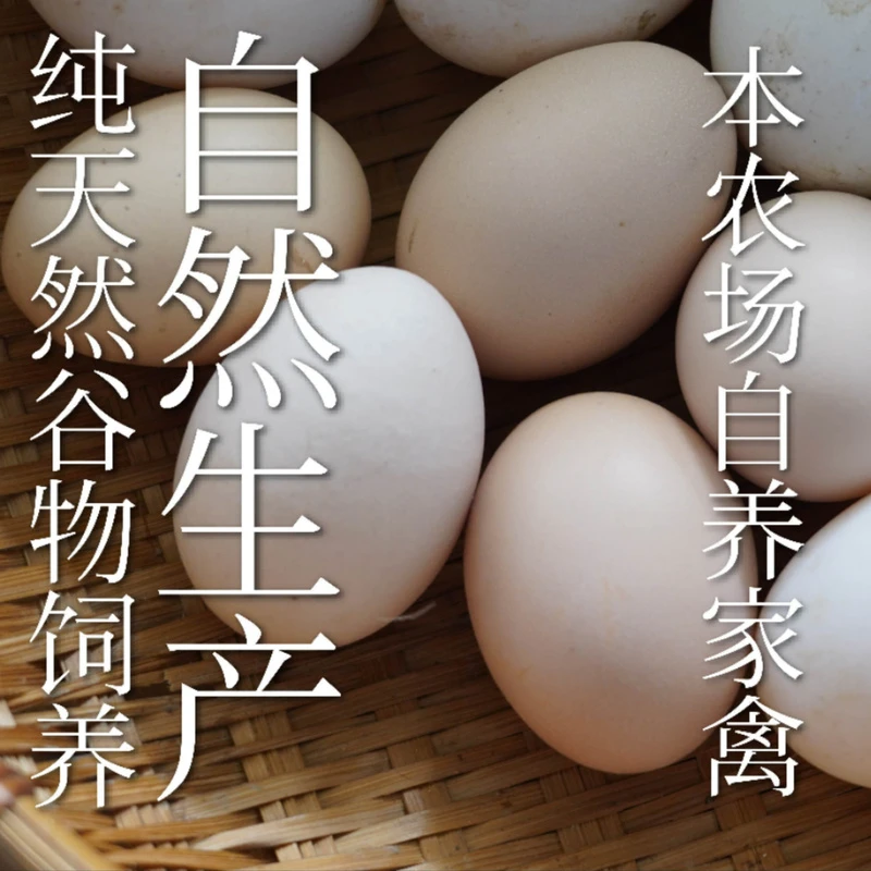 初生鸡蛋宝宝辅食婴儿孕妇月子·单次体验·生态健康安心·10-30枚
