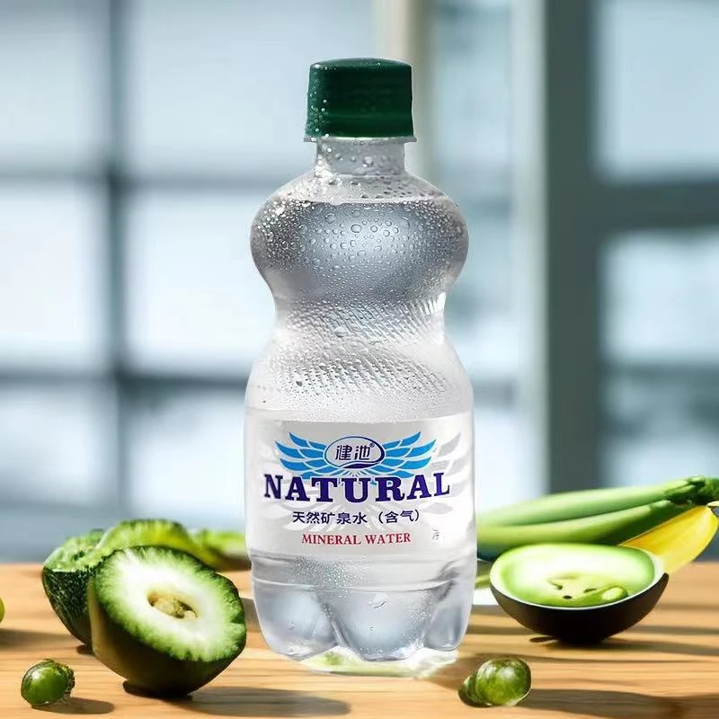 健池天然含气三伏好物 冷矿泉水 五大连池气泡水 【临期特价】