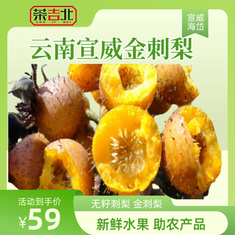 云南宣威海岱镇无籽刺梨助农金刺梨