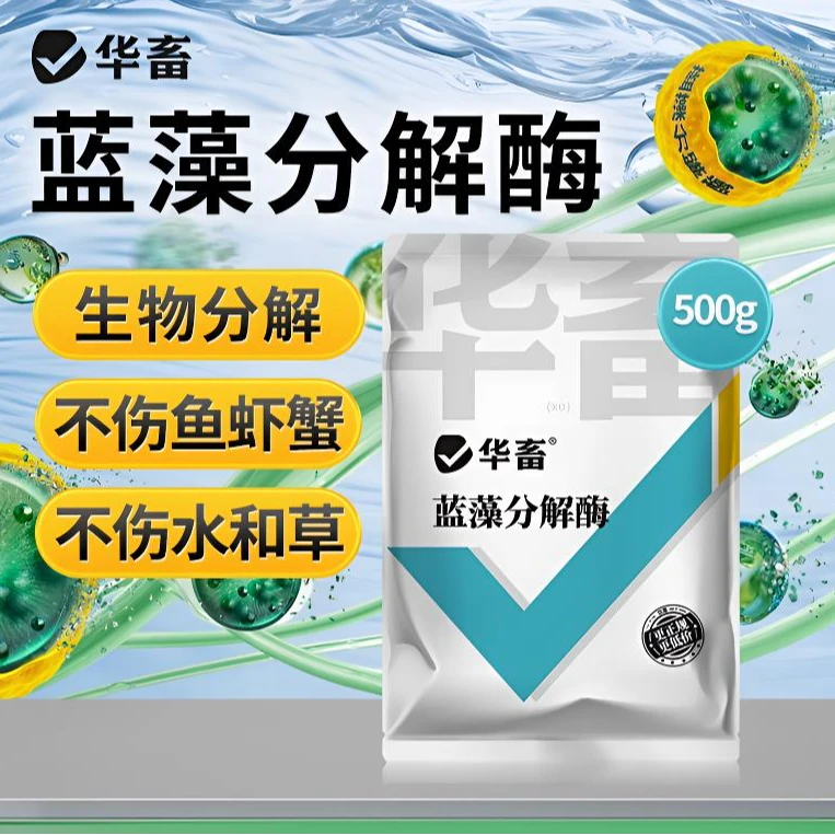 蓝藻分解酶溶解蓝藻水产养殖生物分解溶氧低鱼虾蟹鱼塘除蓝藻Z