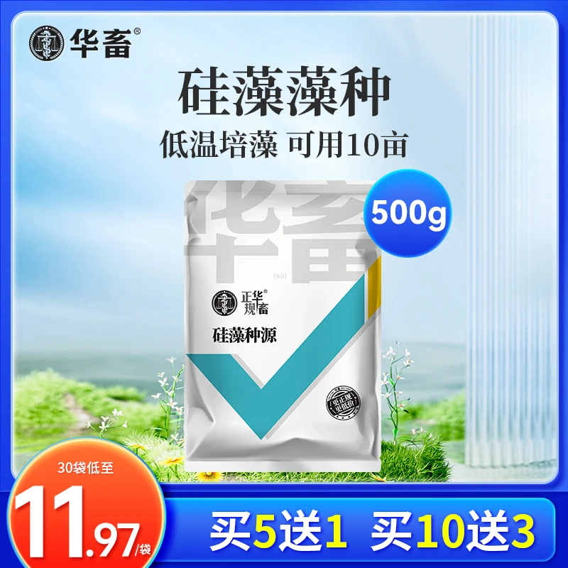 硅藻藻种水产养殖小球藻绿藻硅藻种鱼虾蟹塘肥水培藻饲料S