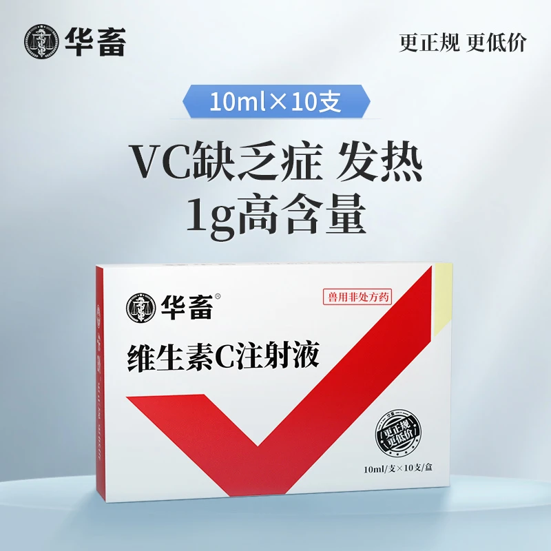 维生素C注射液 高含量 发热转群应激长期瘦弱用 针剂猪药牛羊药