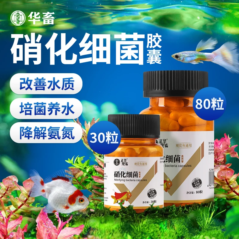 S硝化细菌鱼缸用专用胶囊净水剂活菌干粉水质稳定净化水族鱼用