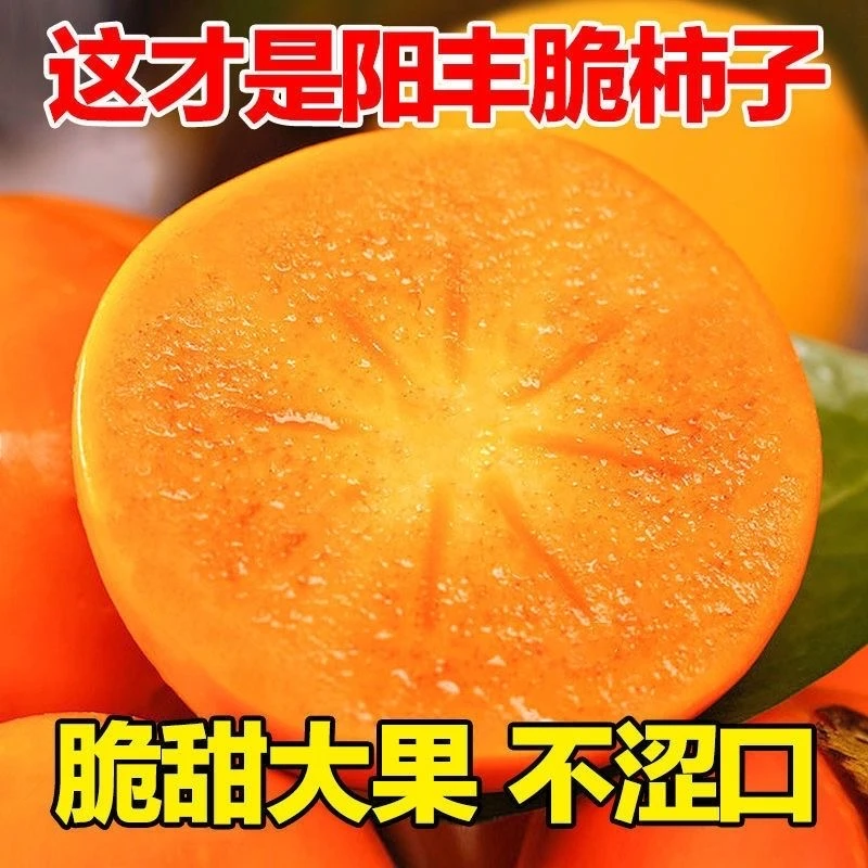 陕西阳丰脆柿巧克力脆柿甜柿子新鲜冰糖心无籽脆柿-全村的希望