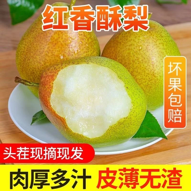 山西运城脆甜多汁红香酥梨净重5斤礼盒包邮