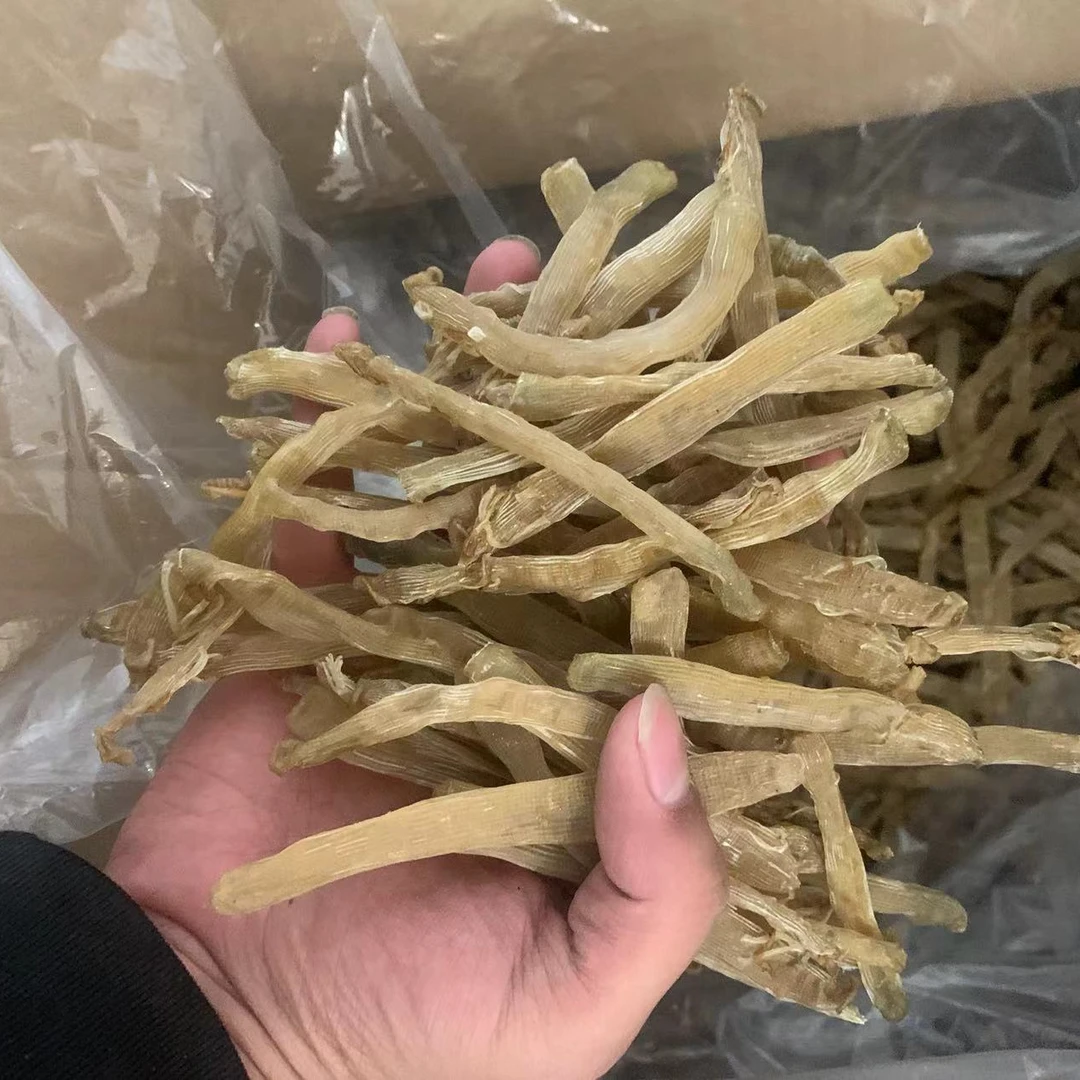 【玉姐精选】北海沙虫干7-10cm  原色干净少沙