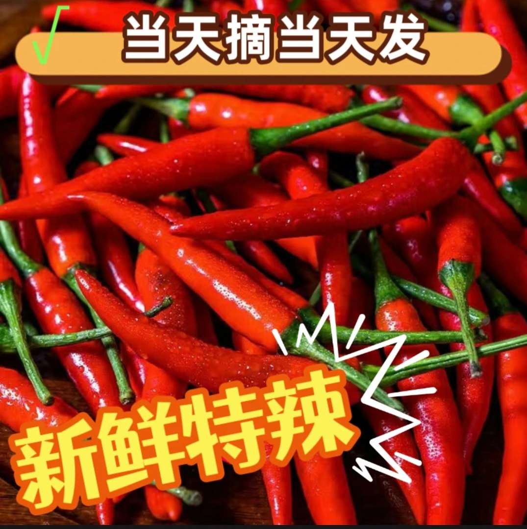 广西鲜红小米椒原产地产品产地种植直供采摘发货小米辣新鲜批发