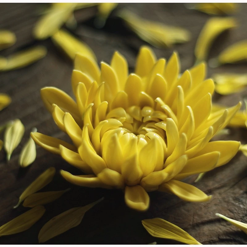 《秋菊》陶瓷潮州手捏花茶宠精品摆件菊花仿真香插茶道零配