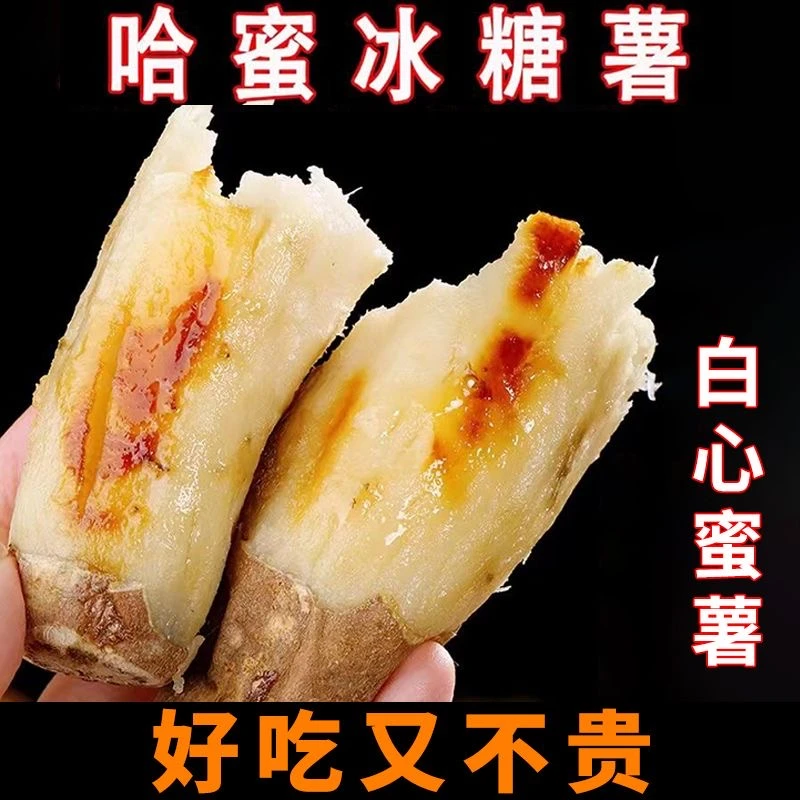 哈密冰糖心薯沙地新鲜现挖糖心甜蜜薯白心番薯地瓜细腻丝滑5/9斤