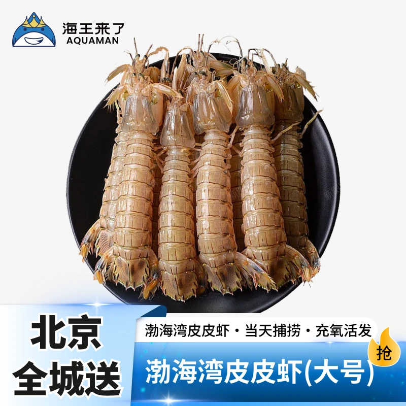 【海王来了】渤海湾大号皮皮虾虾爬子2斤充氧装 公母混装