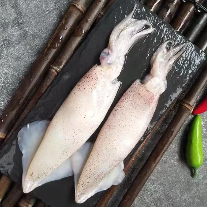 【大侠海鲜】当季野生大海兔 新鲜笔管鱼 500g/包*4包 每包6-8条