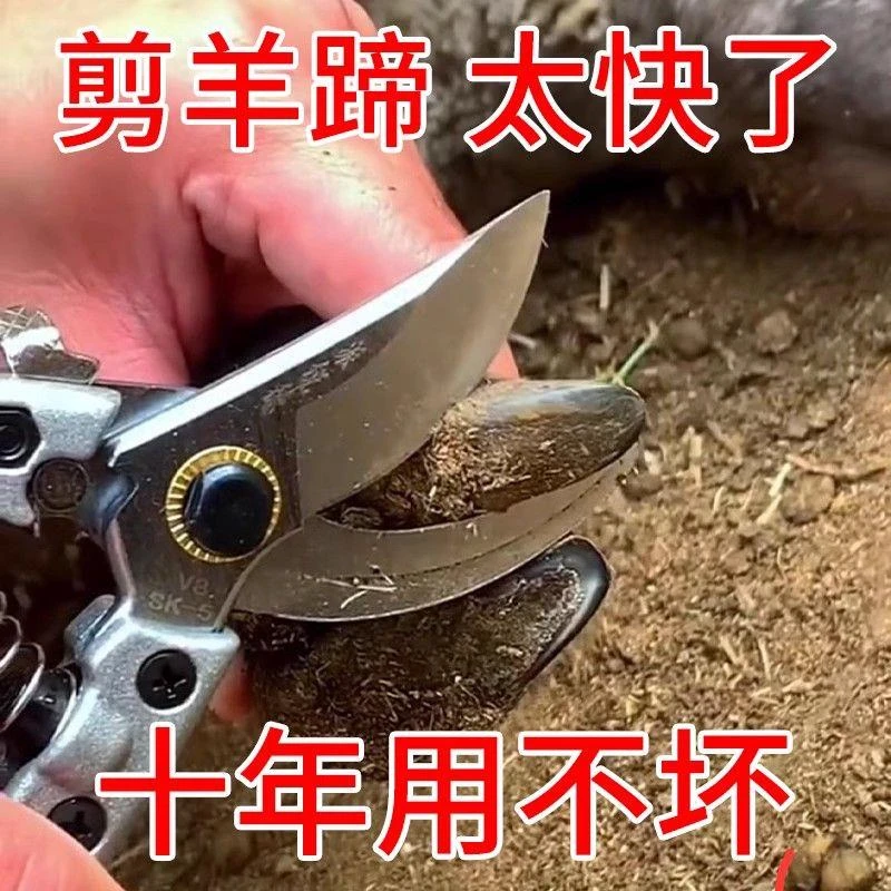 羊修蹄剪刀修蹄剪羊蹄剪牛修蹄钳猪蹄修整蹄裂蹄腐蹄龟裂口蹄疫剪