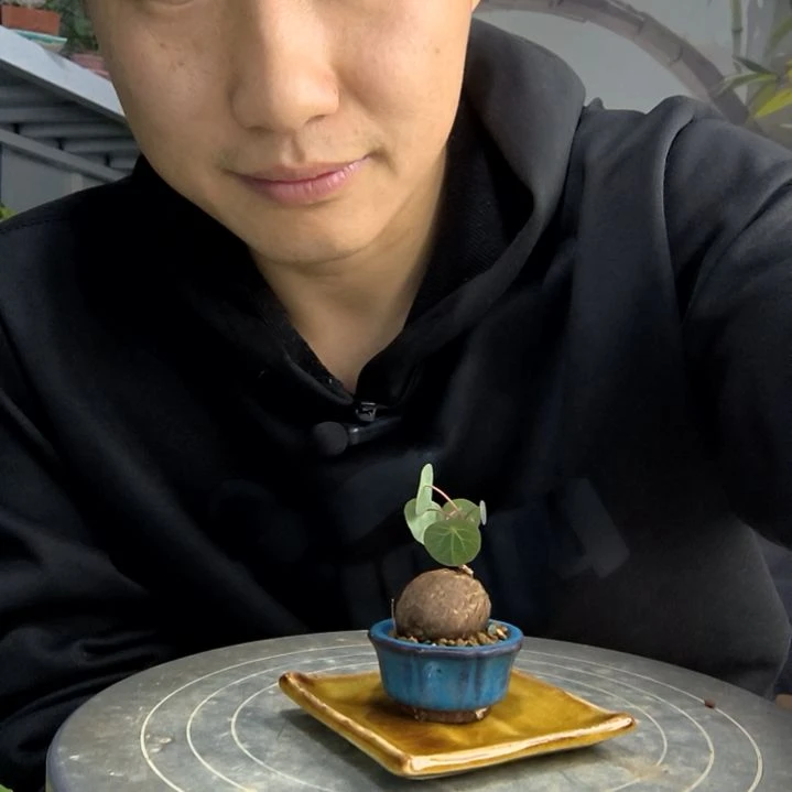 小**?小盆景小植物一物一拍100