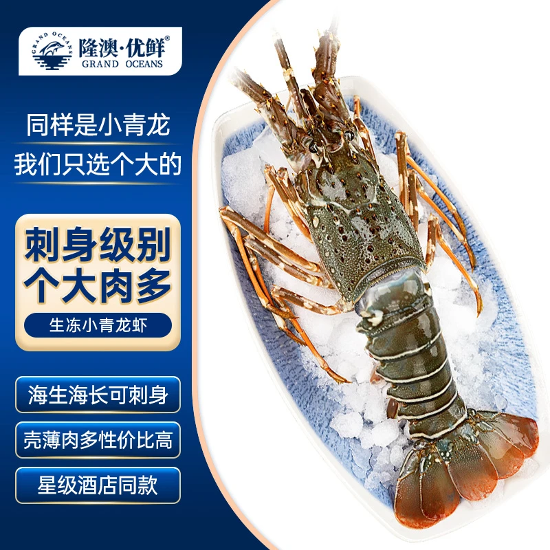 隆澳优鲜 海捕青龙虾刺身级别龙虾约300-800g/只(多规格可选)