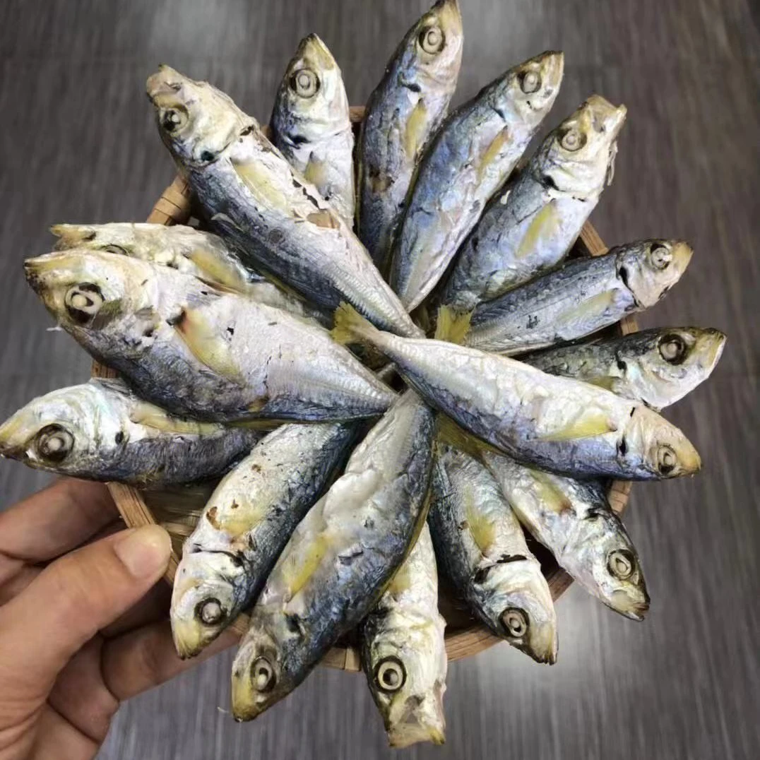 东山岛 黄尾巴浪鱼干