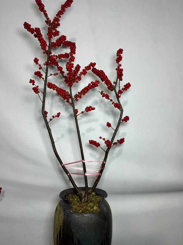 北美冬青年宵花寓意吉祥如意