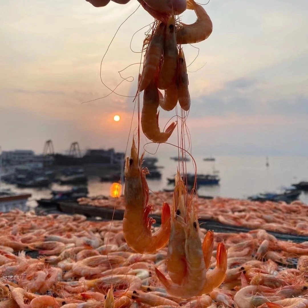 海卢虾干汕尾本港马宫渔家活虾晒海卢虾干红须虾干麻虾干