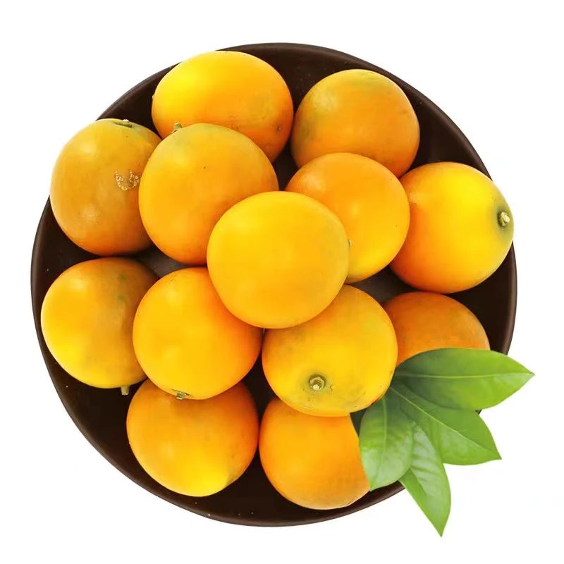 广西脆皮金桔（约400g/盒）当季新鲜水果桔子 脆皮小金桔 纯甜不酸