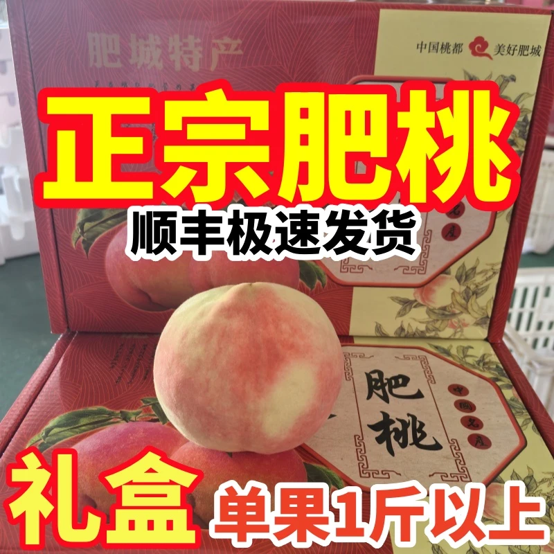 正宗肥城桃单果1斤以上中秋送礼山东桃子礼盒顺丰包邮