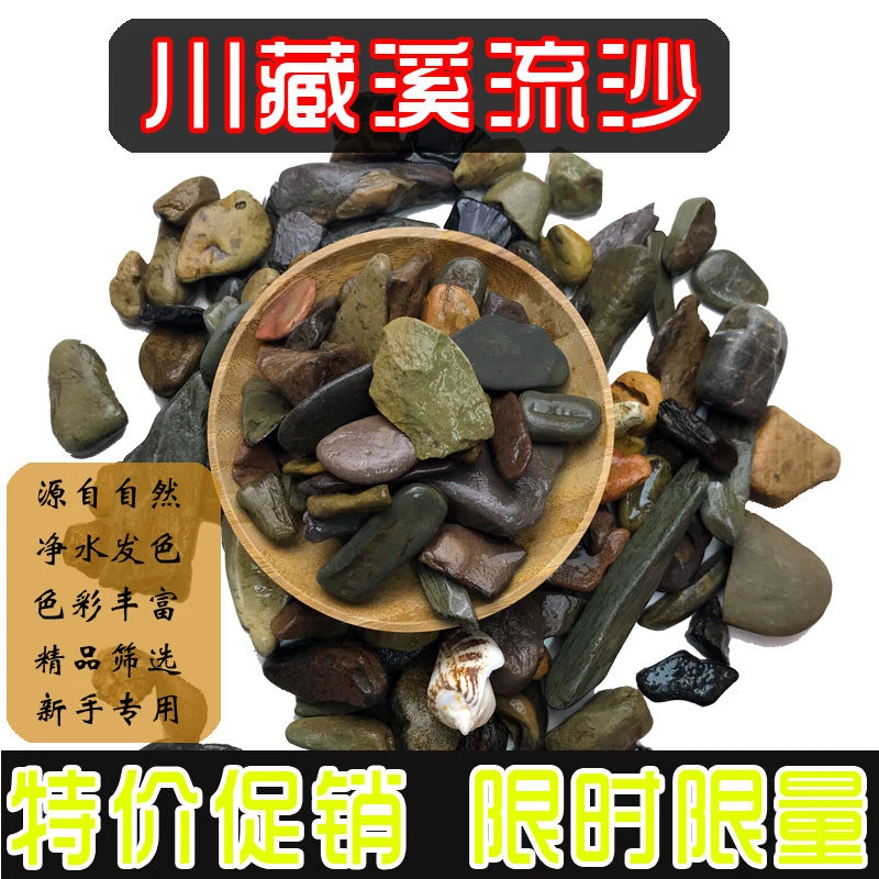 川藏溪流砂石原生缸造景底沙天然溪流砂净化水质美观装饰多种河沙