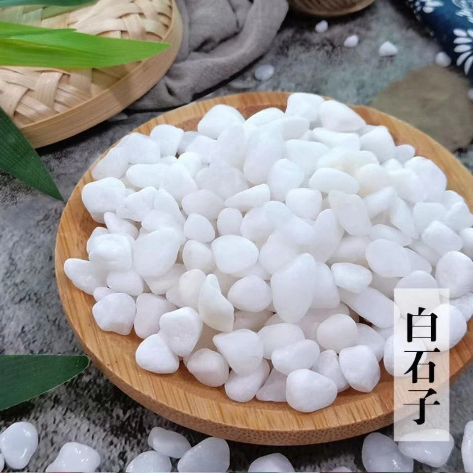 天然多肉铺面小白石子天然五彩石头花盆植物装饰鱼缸造景庭院铺路