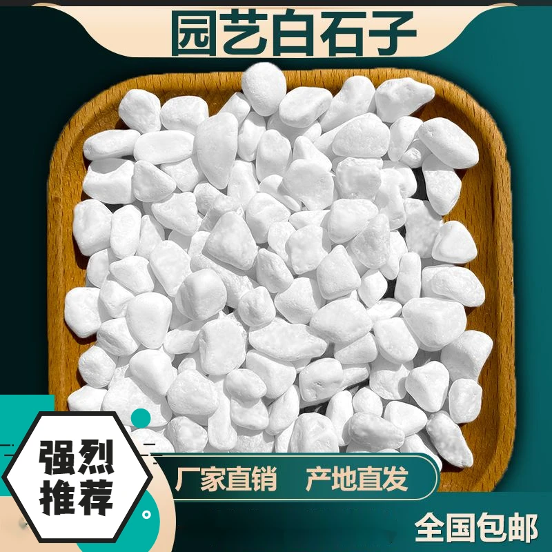 白色石子批发石头大鹅卵石庭院铺路铺地小白石头铺面石白石子包邮