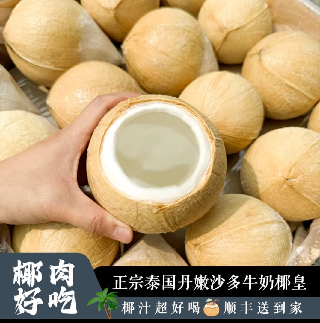泰国丹嫩沙多椰皇/6-9颗装顺丰包邮新鲜包邮品质孕妇椰子泰国椰青