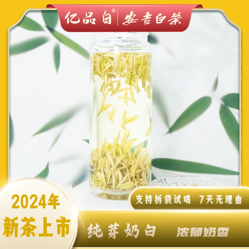 2024年新茶【纯芽奶白】正宗奶香黄金芽安吉白茶罐装新茶头采礼盒送