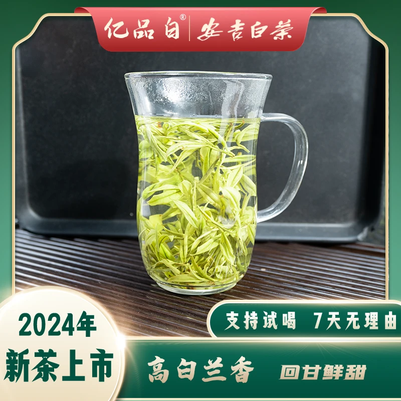 2024新茶【特白兰香】安吉白茶正宗原产地罐装头采明前白茶高山高白