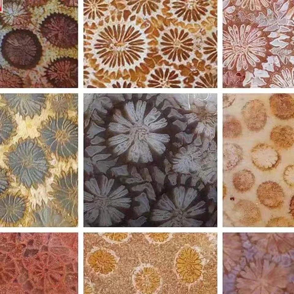 男士女士珊瑚玉吊坠水滴详细请看直播间购买