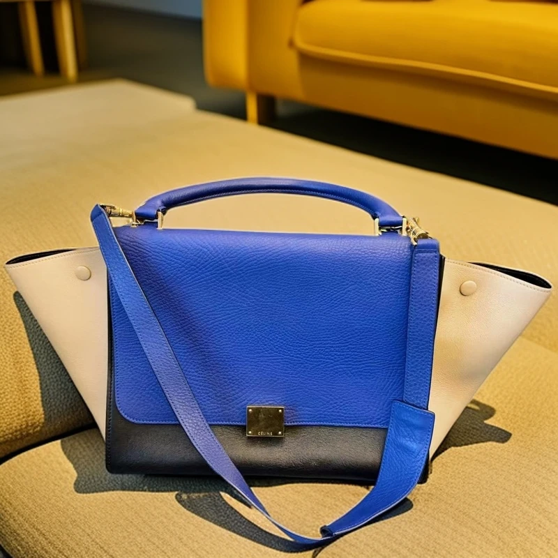95新 Celine/思琳  拼色秋千包  999 3244