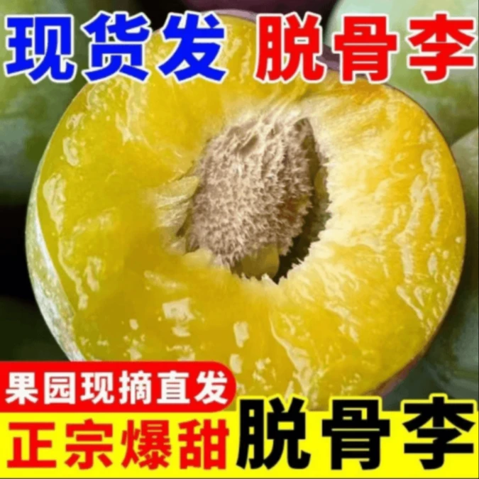 [现摘现发] 陕西正宗脱骨李非四川脱骨李新鲜脆爽孕妇水果 酸甜口
