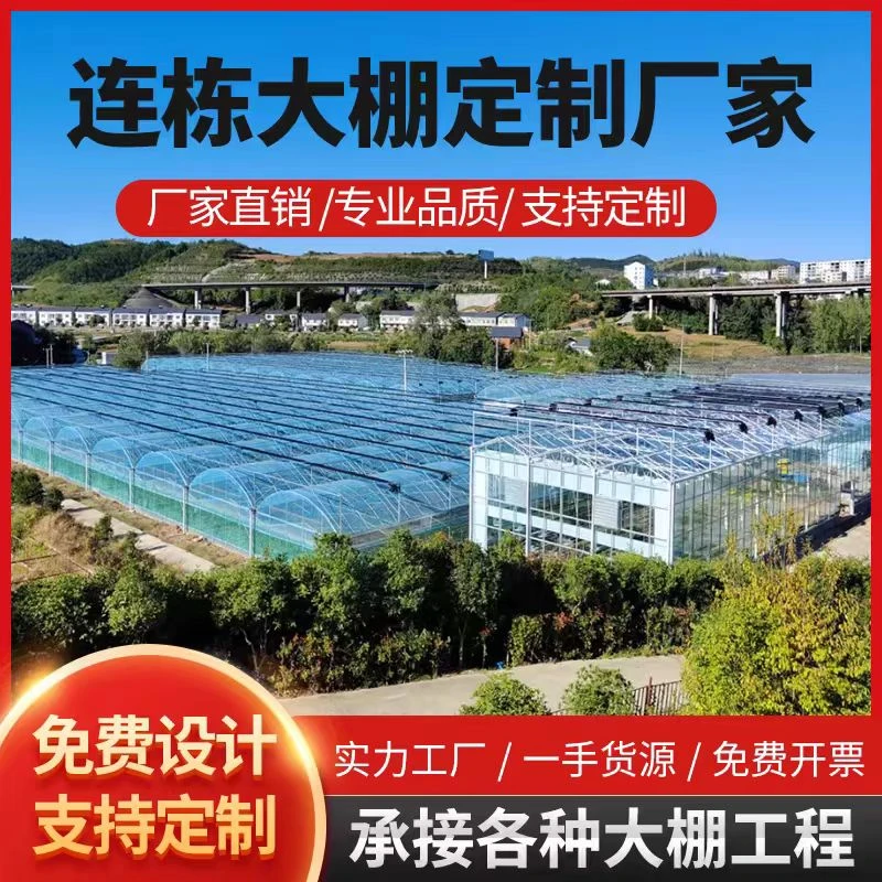 温室连栋大棚连体棚玻璃温室文洛式花卉温室遮阳塑料膜薄膜大棚