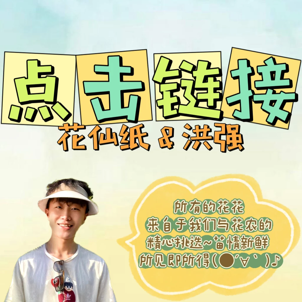 花卉基地现场直接拍链接绿植盆栽木本植物