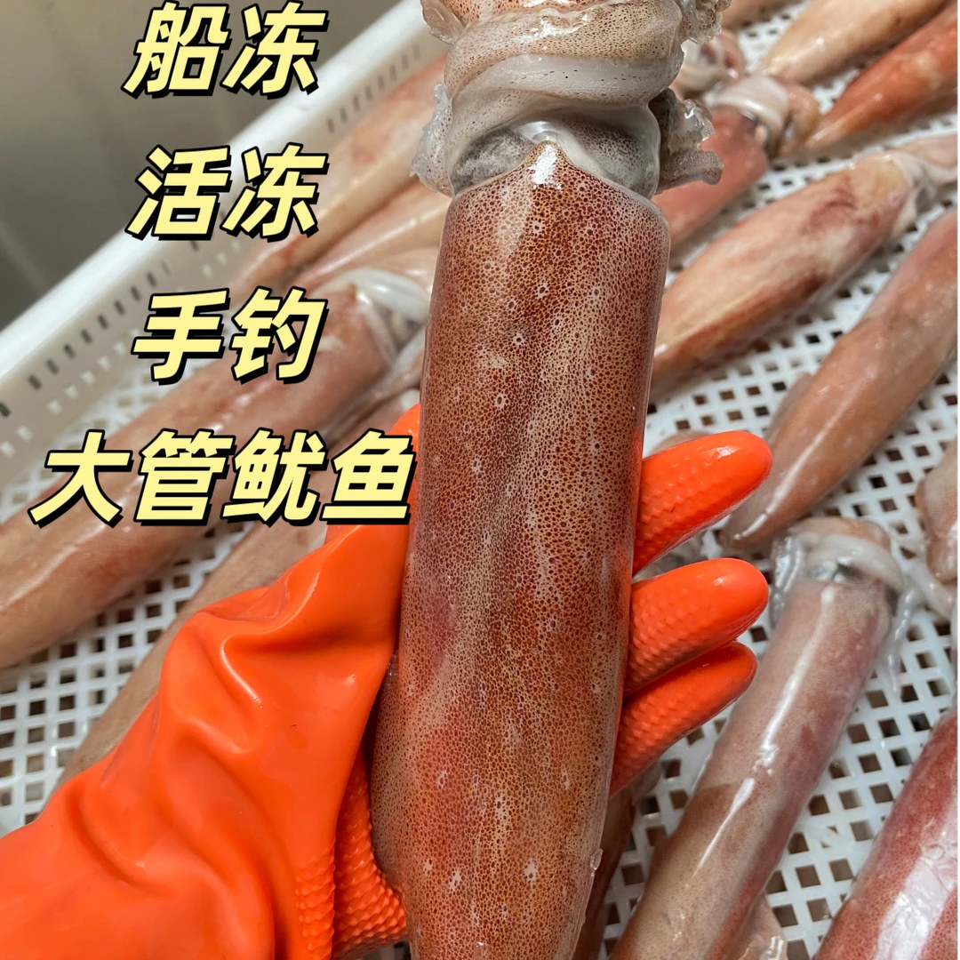 崇武特产 野生手钓大鱿鱼 船冻保鲜 每条150-200g