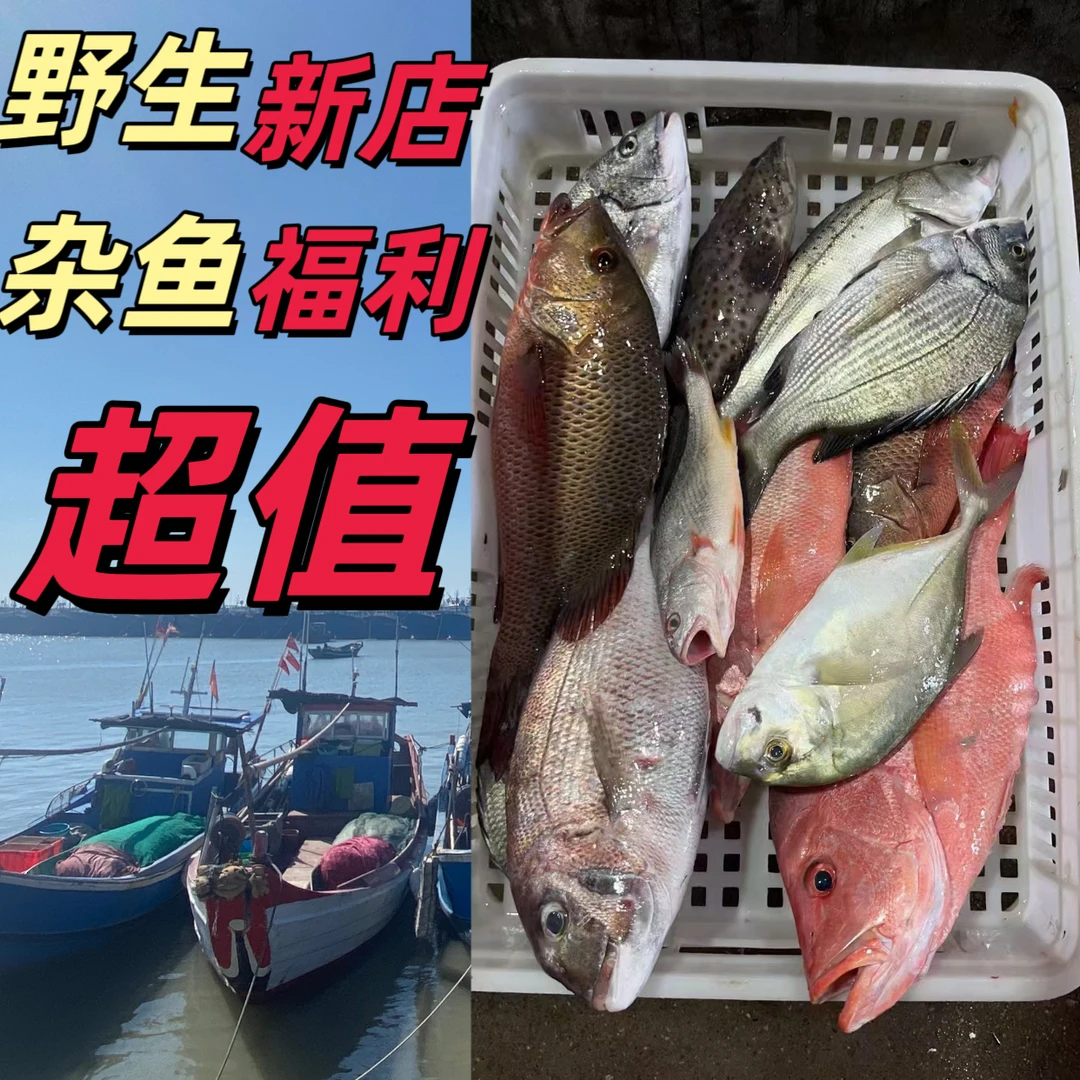 崇武野生杂鱼 上岸活杀 一斤杀完净重8两一盒 顺丰包邮