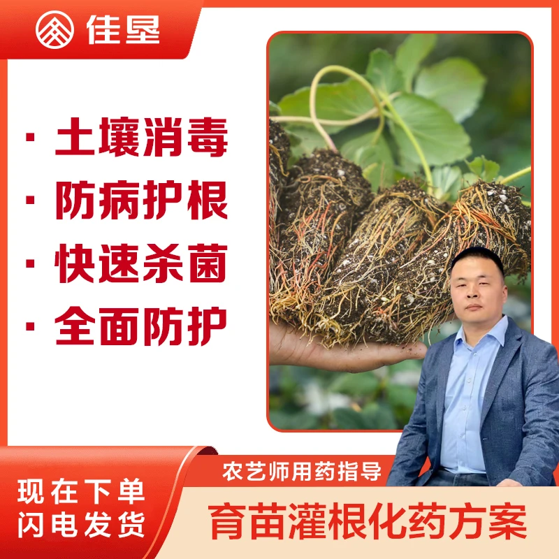 【佳垦草莓定植三遍灌根方案】草莓土壤消杀根系更健康土壤消毒