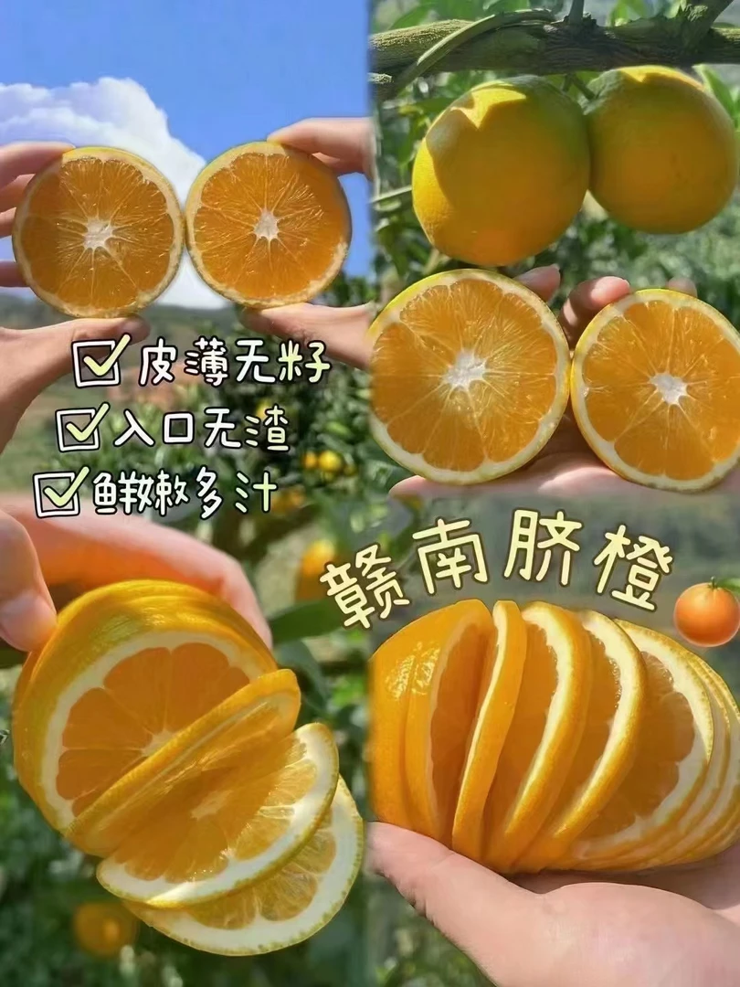 正宗赣南脐橙产地寻乌新鲜应季水果榨果汁手拨橙