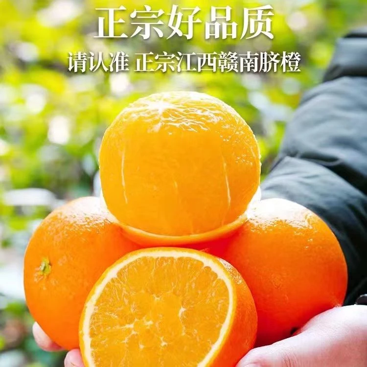 (小白子专属)江西赣南脐橙 新鲜多汁 坏果包赔