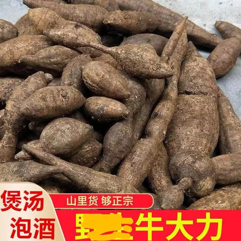广东牛大力薯新鲜圆牛蛋煲汤泡酒佳品净含量500克原产地深山采摘