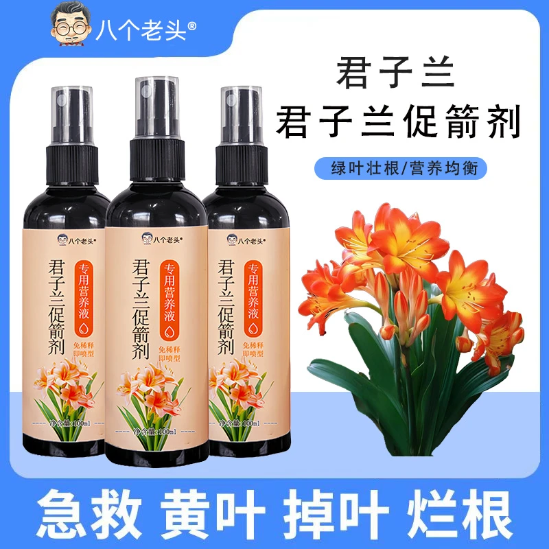 【急救黄叶】君子兰营养液叶子发黄烂叶烂根促箭催开花免稀释