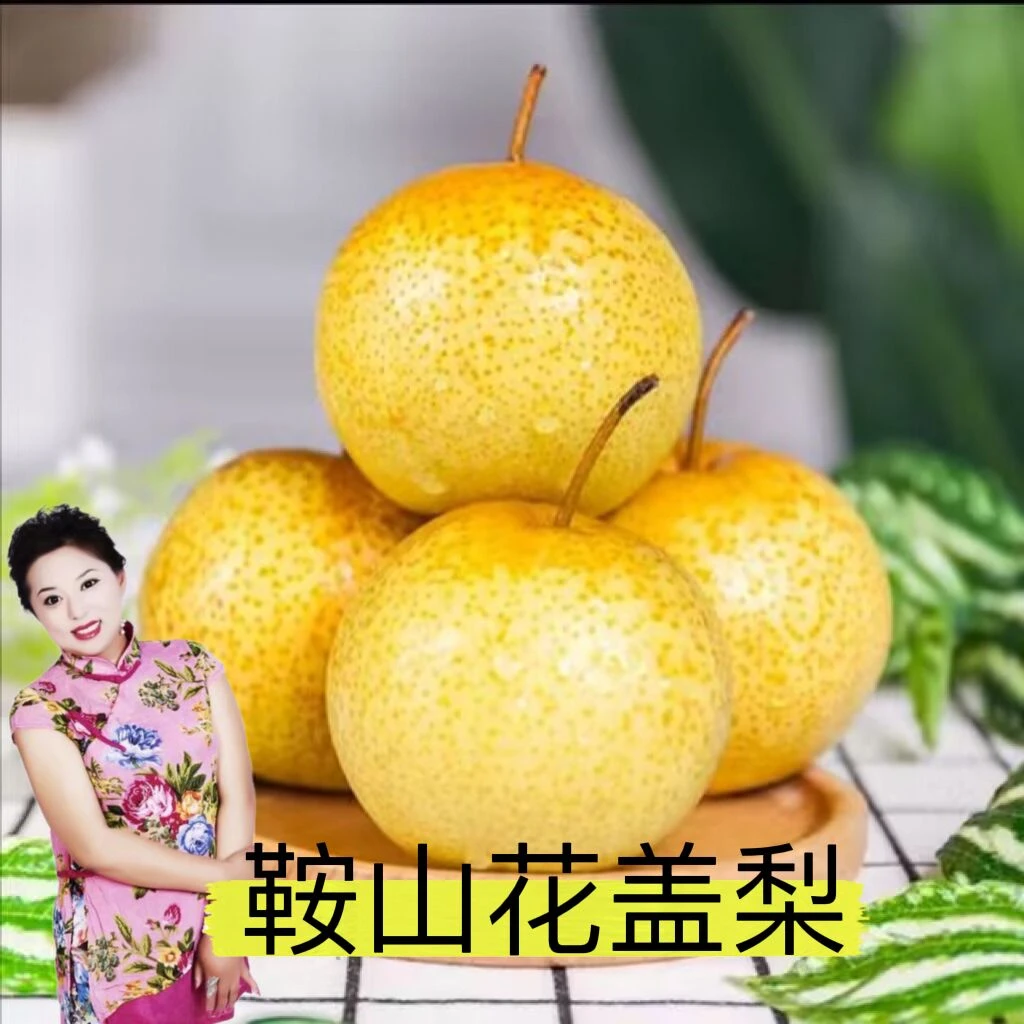 【欣姐优选】鞍山花盖5斤 软糯香甜独特果大均匀皮薄多汁